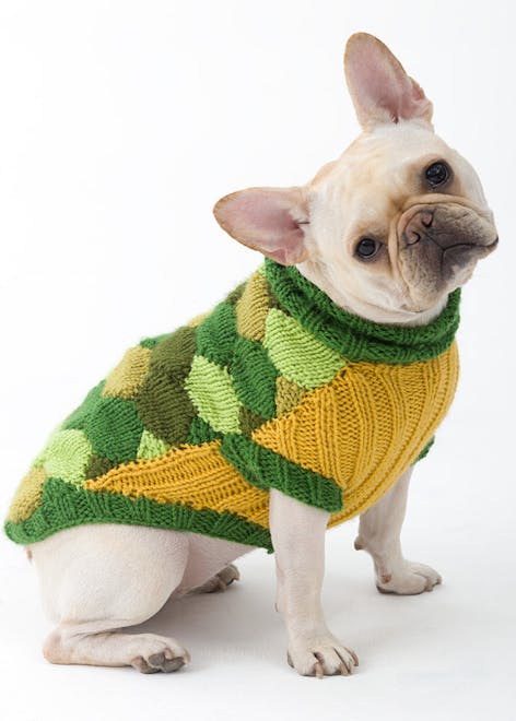 Knitted dog turtle costume for Halloween