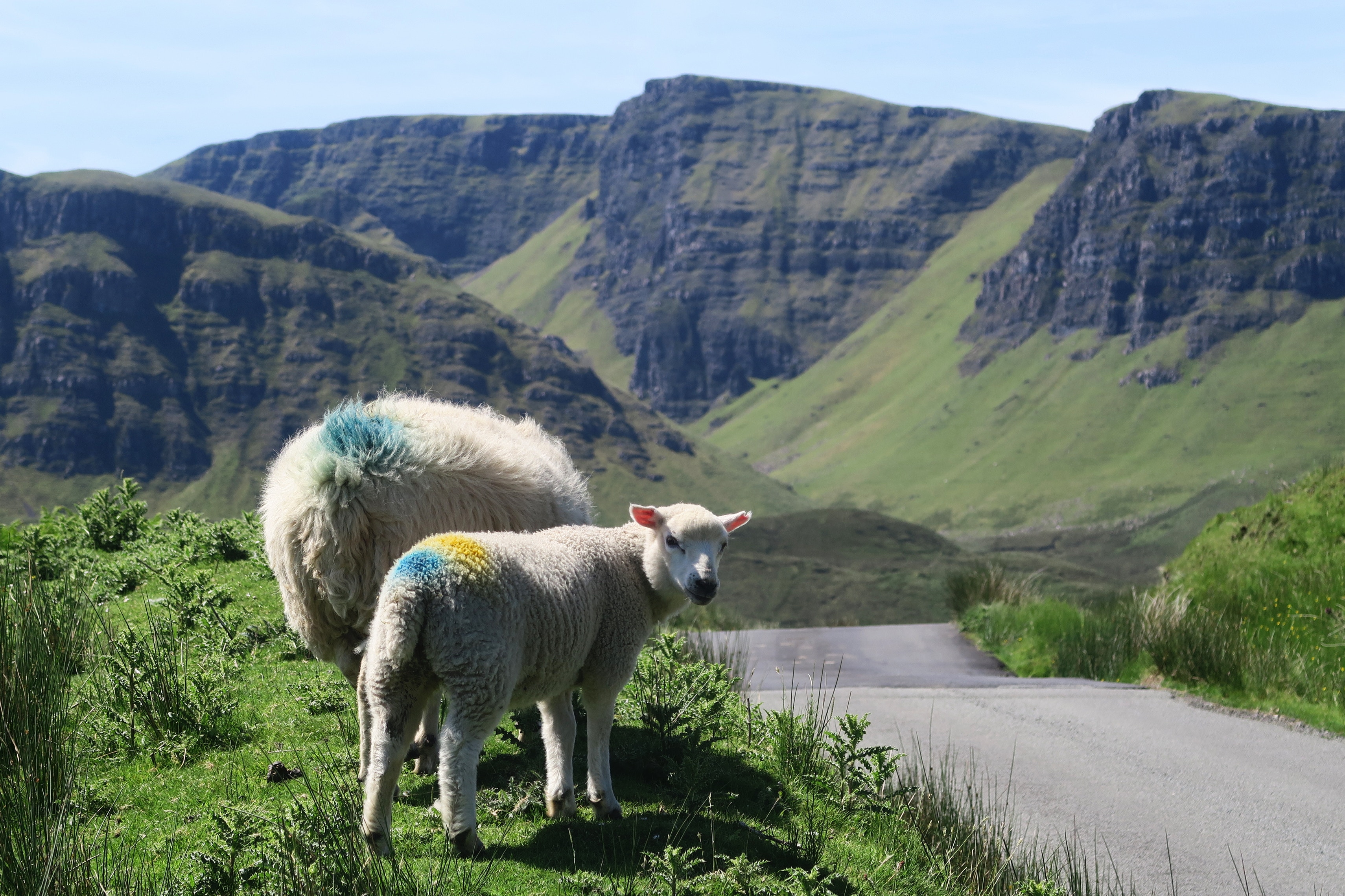Sensitive to wool? Try these yarns