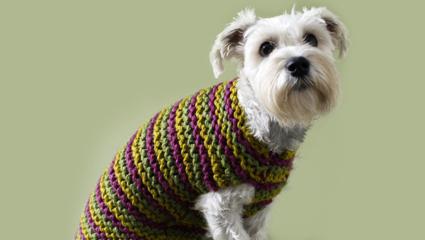 Top 5 free dog sweater knitting patterns