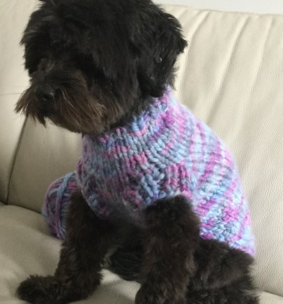 Sweet Dog Sweater