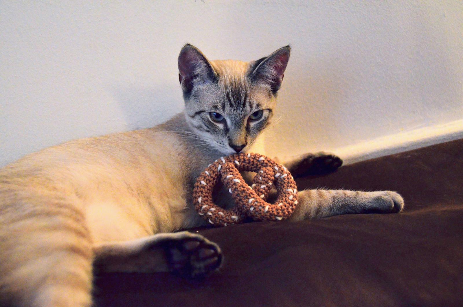 We love: crochet pet patterns