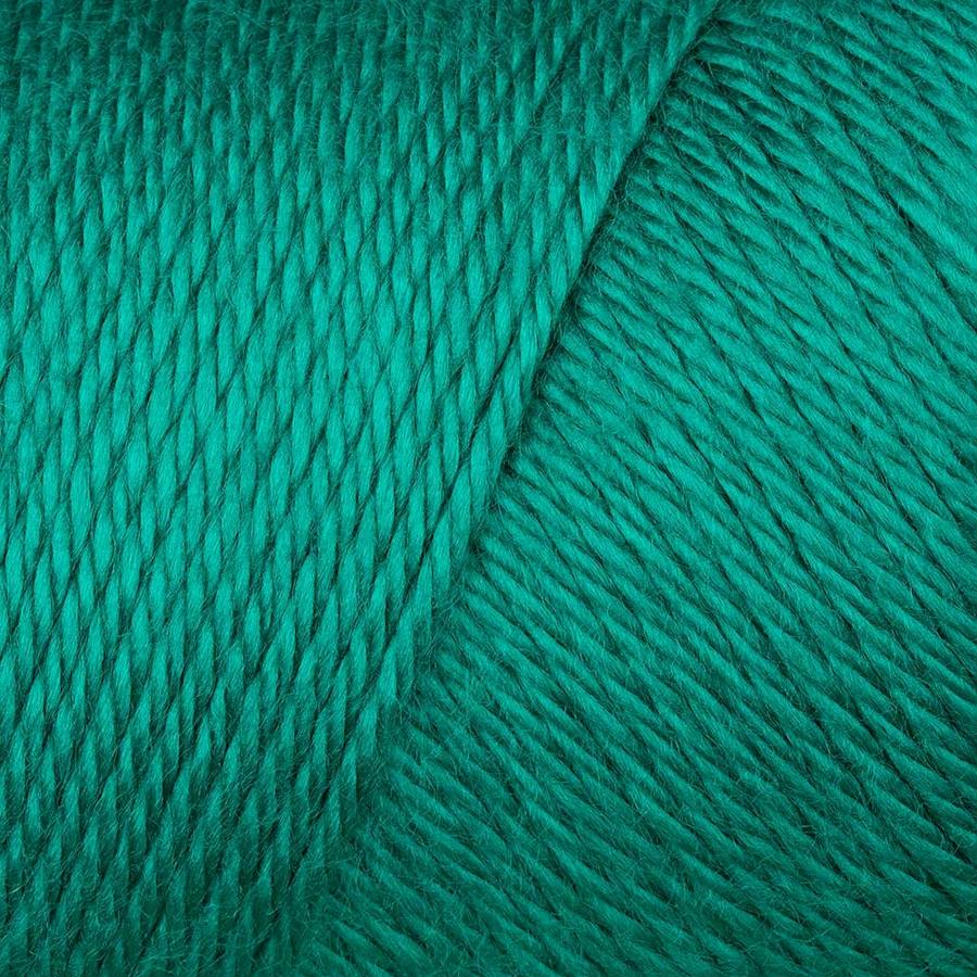 Caron Simply Soft