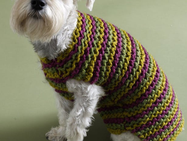 City Stripes Dog Sweater