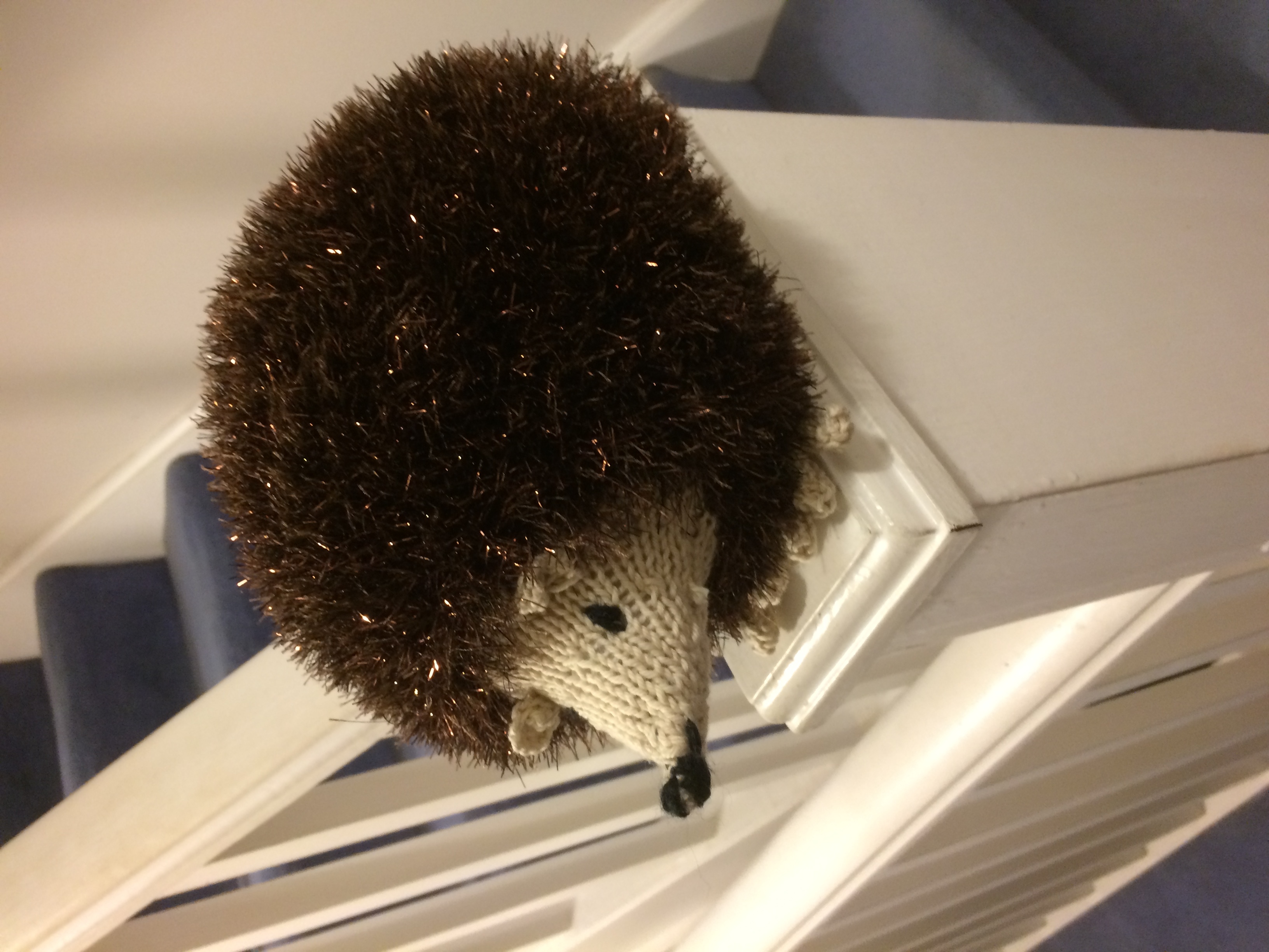 Alison D's Hedgehog