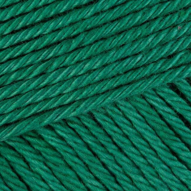 Schachenmayr Catania