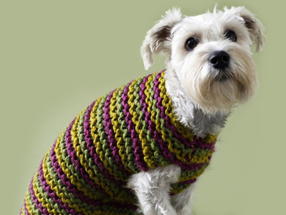 Top 5 free dog sweater knitting patterns