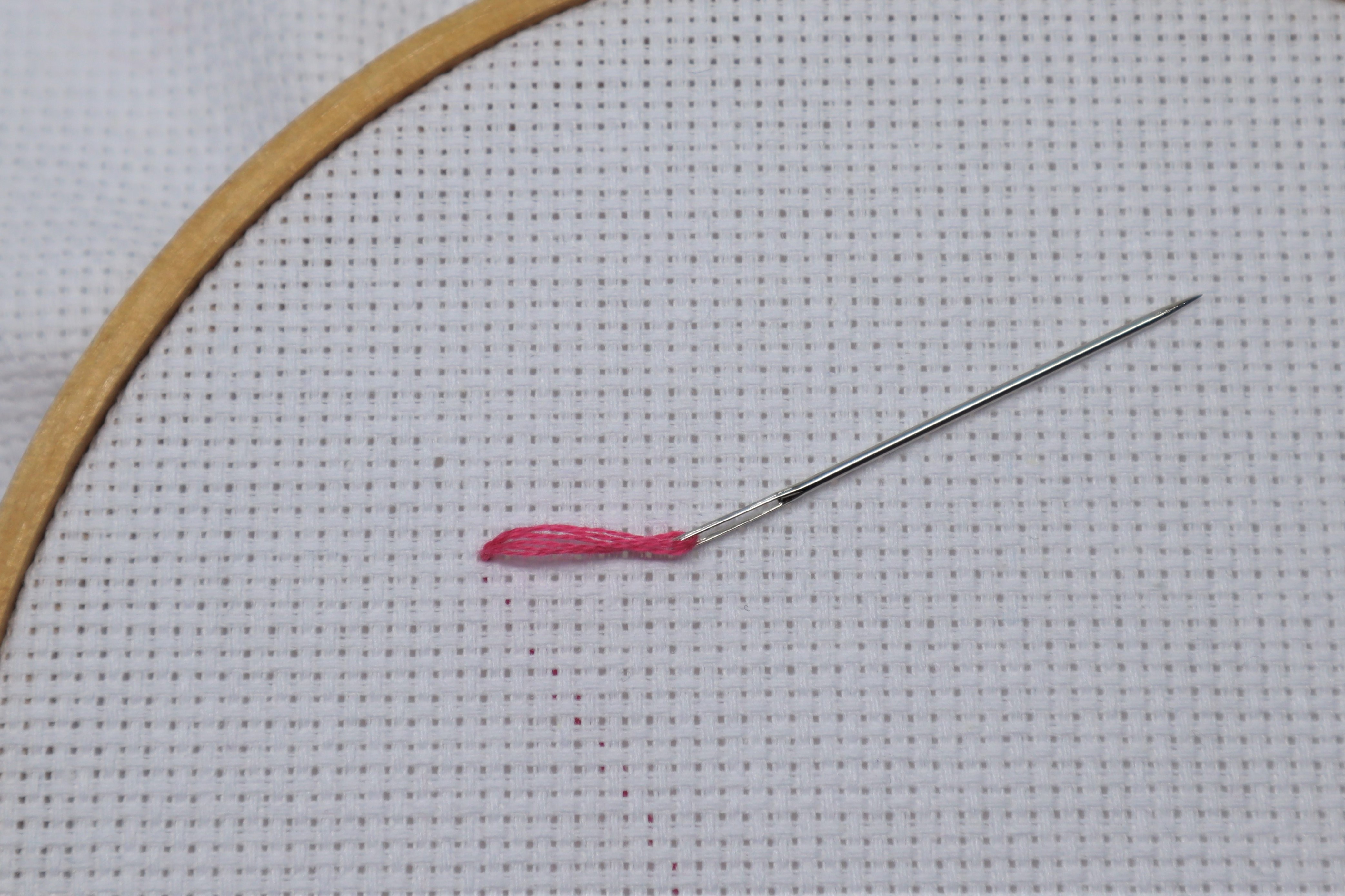 Needle working into aida fabric