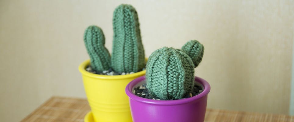 Never worry about over-watering again with these cute handmade houseplants! 
