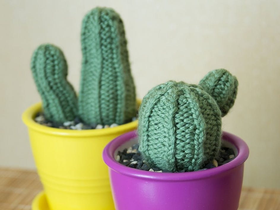 Never worry about over-watering again with these cute handmade houseplants! 
