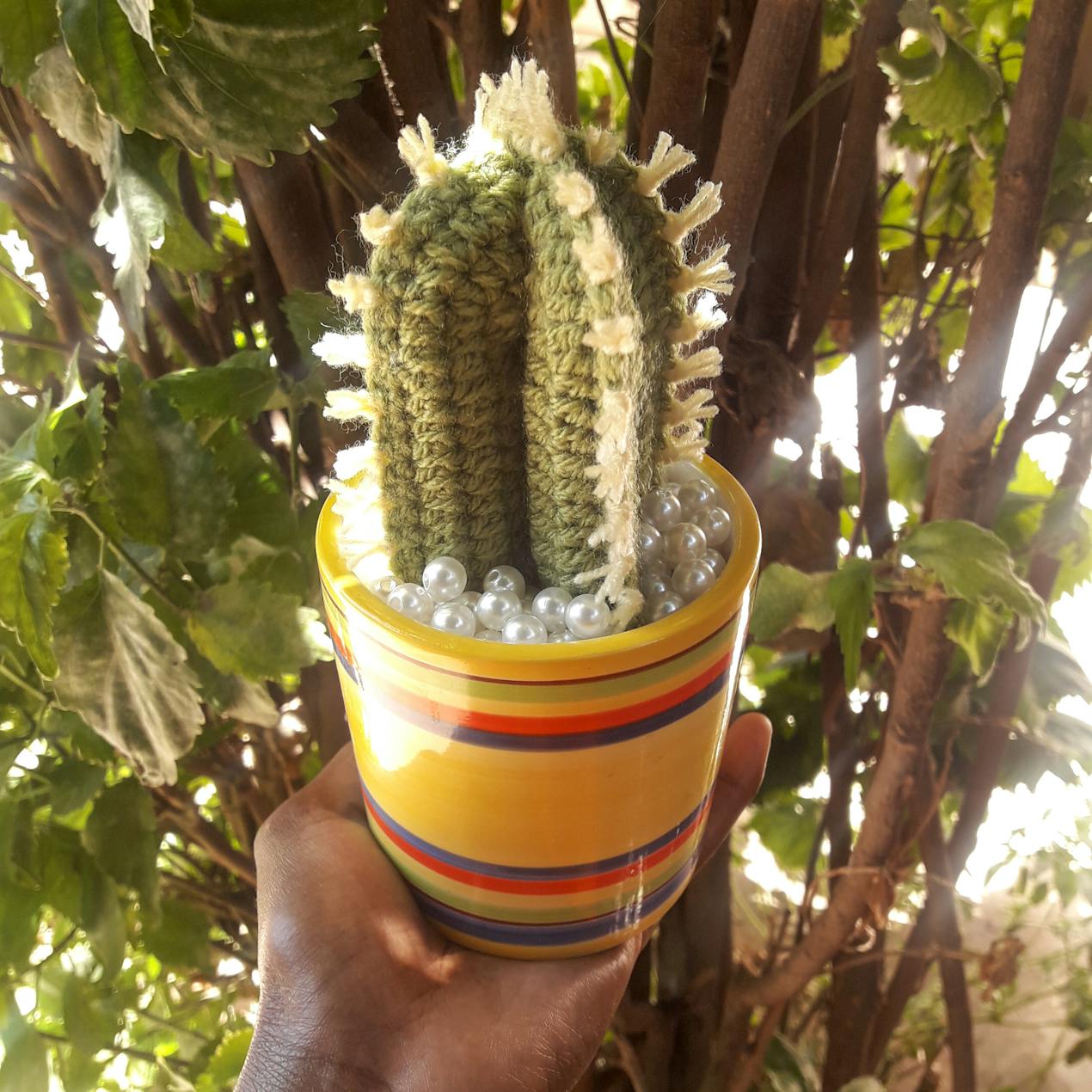 Crochet cactus
