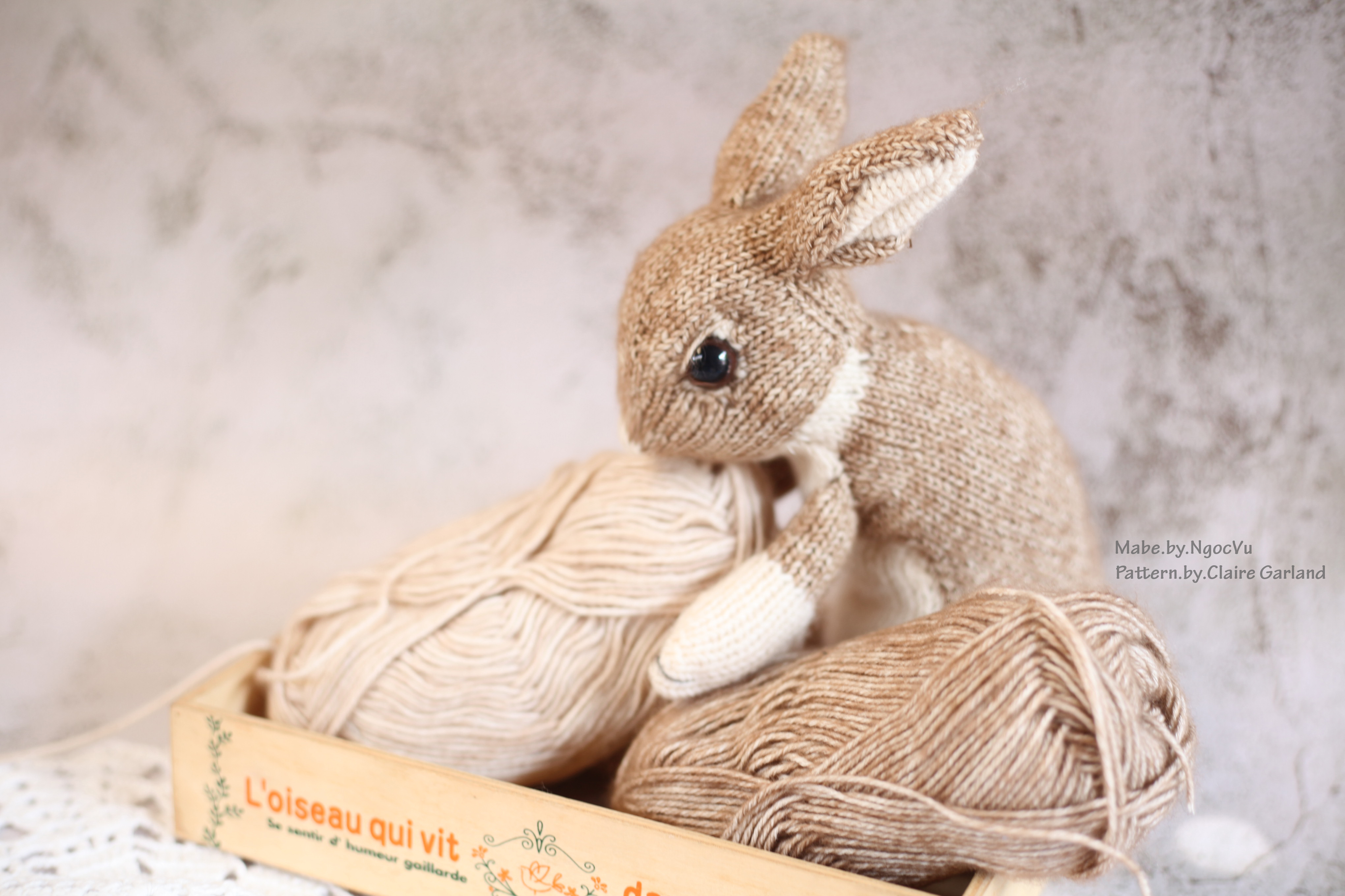 Cheryx's Wild Rabbit