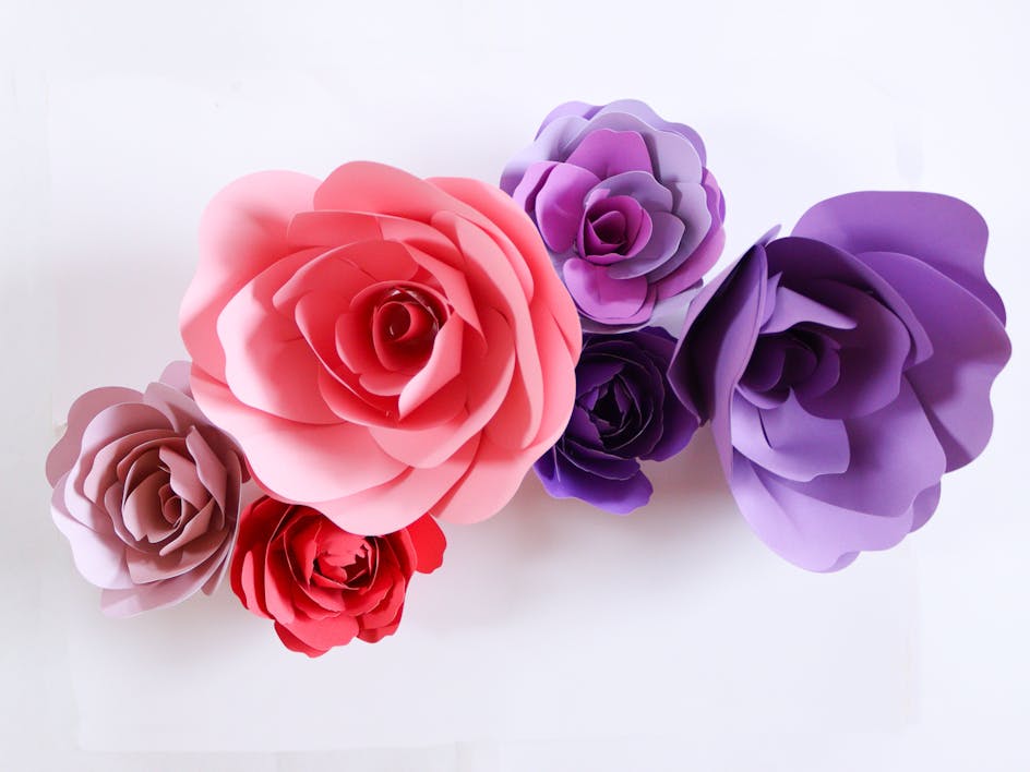 How to make large paper flowers with your Cricut machine
