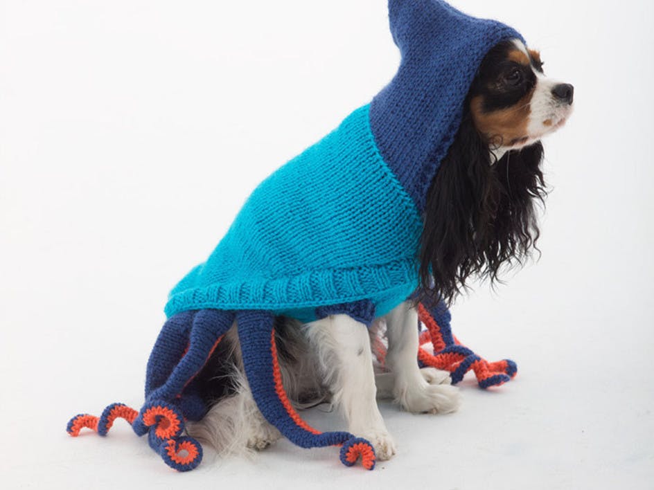 Knitted dog octopus costume for Halloween