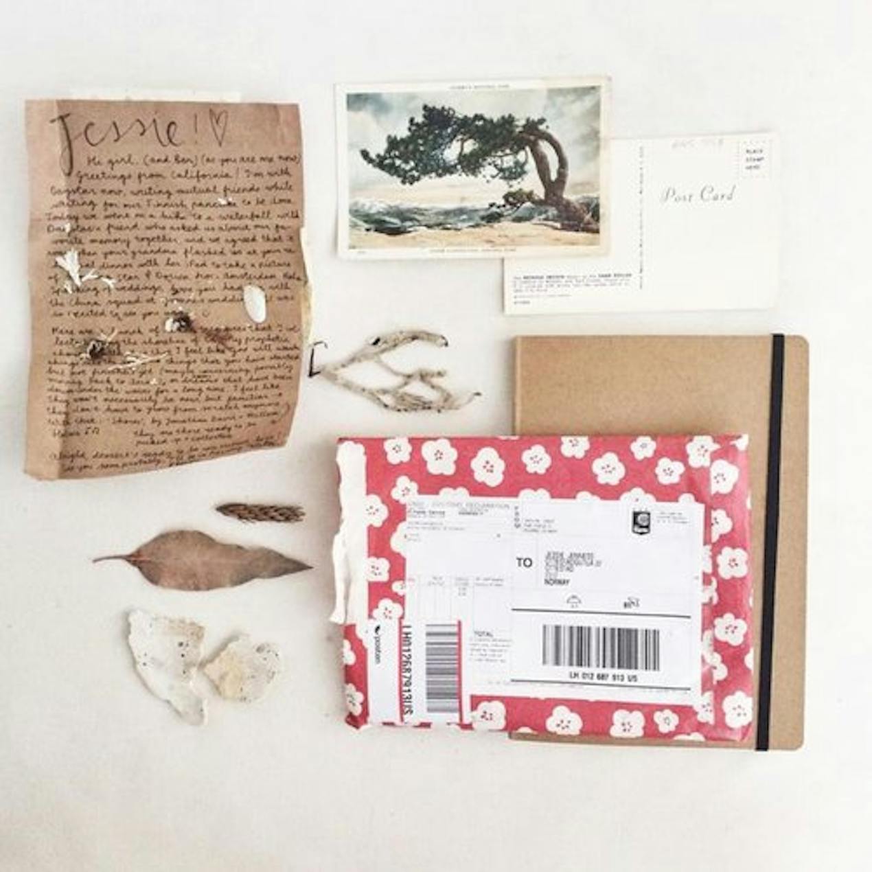 snail mail inspiration 