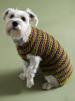 City Stripes Dog Sweater