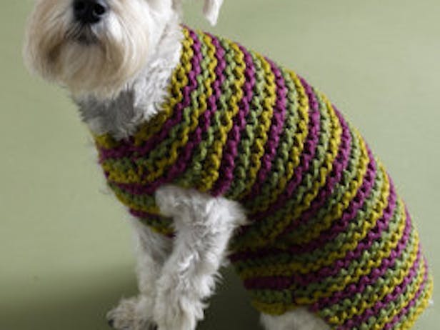 City Stripes Dog Sweater