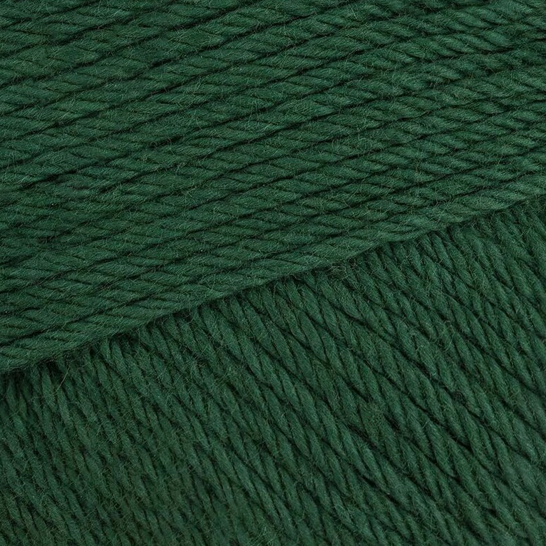 Paintbox Yarns Cotton DK in Racing Green