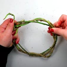 Step 3 - wind vines into circle