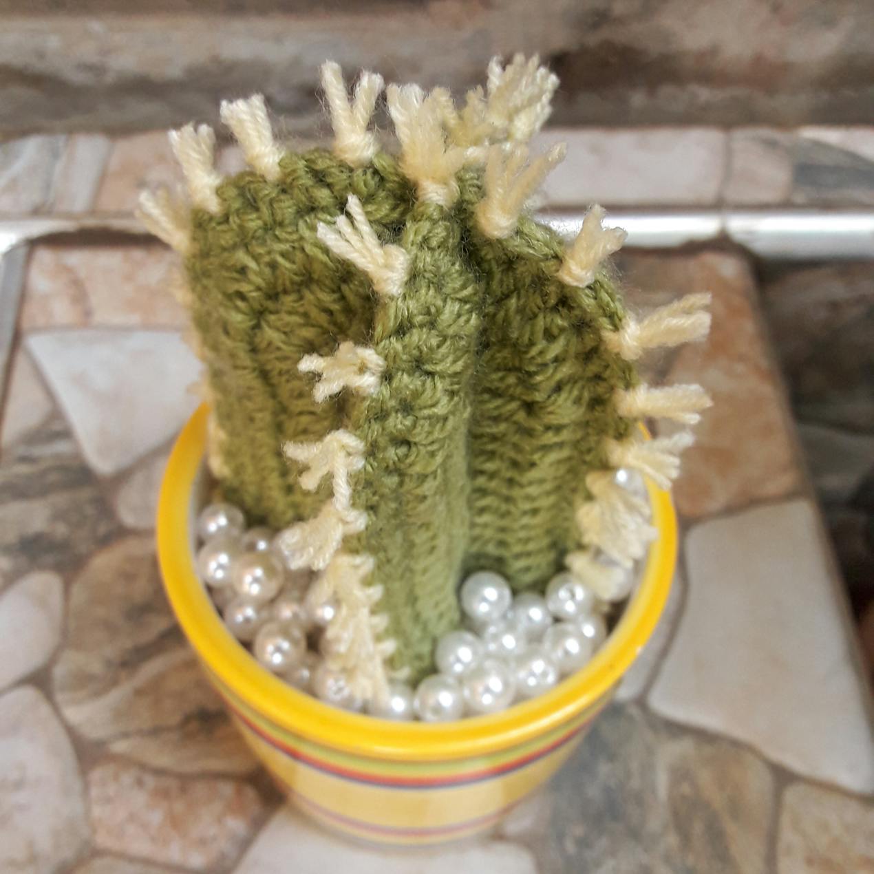 Potted cactus
