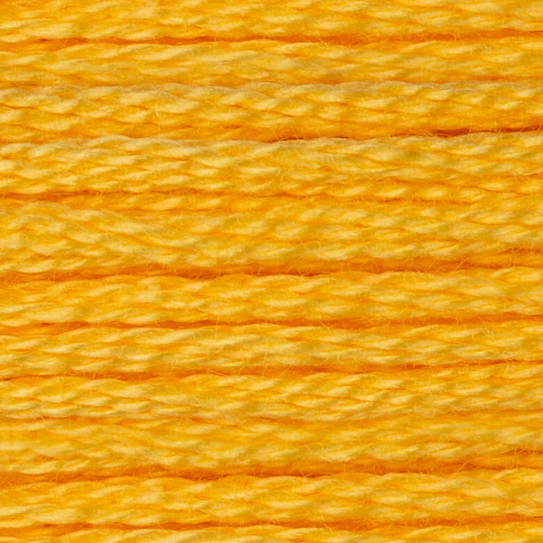 DMC 6 Strand Embroidery Floss
