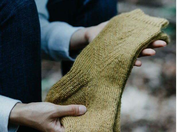 Frasier Fir Socks